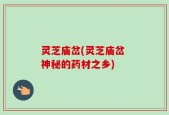 灵芝庙岔(灵芝庙岔 神秘的药材之乡)
