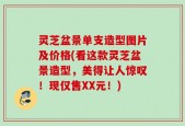 灵芝盆景单支造型图片及价格(看这款灵芝盆景造型，美得让人惊叹！现仅售XX元！)