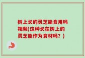 树上长的灵芝能食用吗视频(这种长在树上的灵芝能作为食材吗？)