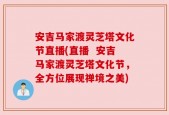 安吉马家渡灵芝塔文化节直播(直播  安吉马家渡灵芝塔文化节，全方位展现禅境之美)