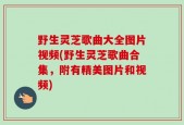 野生灵芝歌曲大全图片视频(野生灵芝歌曲合集，附有精美图片和视频)