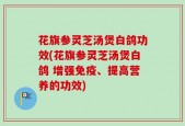 花旗参灵芝汤煲白鸽功效(花旗参灵芝汤煲白鸽 增强免疫、提高营养的功效)