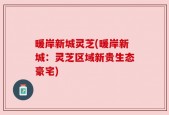 暖岸新城灵芝(暖岸新城：灵芝区域新贵生态豪宅)