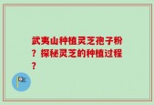武夷山种植灵芝孢子粉？探秘灵芝的种植过程？