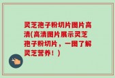 灵芝孢子粉切片图片高清(高清图片展示灵芝孢子粉切片，一图了解灵芝营养！)