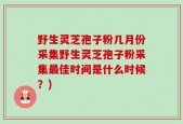 野生灵芝孢子粉几月份采集野生灵芝孢子粉采集最佳时间是什么时候？)