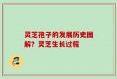 灵芝孢子的发展历史图解？灵芝生长过程