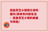 冠县灵芝小镇简介资料图片(探索农村新生活：冠县灵芝小镇的美丽与特色)
