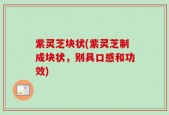 紫灵芝块状(紫灵芝制成块状，别具口感和功效)