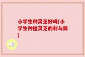 小学生种灵芝好吗(小学生种植灵芝的利与弊)