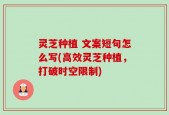 灵芝种植 文案短句怎么写(高效灵芝种植，打破时空限制)