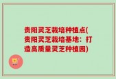 贵阳灵芝栽培种植点(贵阳灵芝栽培基地：打造高质量灵芝种植园)