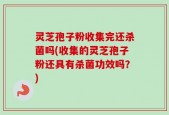 灵芝孢子粉收集完还杀菌吗(收集的灵芝孢子粉还具有杀菌功效吗？)