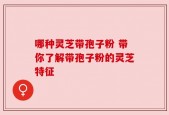 哪种灵芝带孢子粉 带你了解带孢子粉的灵芝特征