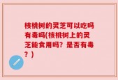 核桃树的灵芝可以吃吗有毒吗(核桃树上的灵芝能食用吗？是否有毒？)