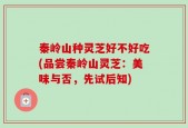 秦岭山种灵芝好不好吃(品尝秦岭山灵芝：美味与否，先试后知)