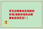 灵芝边哪里有买海鲜的市场(海鲜市场旁边哪里能买到灵芝？)