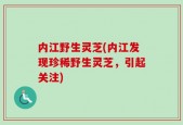 内江野生灵芝(内江发现珍稀野生灵芝，引起关注)