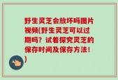 野生灵芝会放坏吗图片视频(野生灵芝可以过期吗？试着探究灵芝的保存时间及保存方法！)
