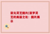 亚元灵芝图片(亚罗灵芝的美丽之处：图片展示