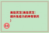 美佳灵芝(美佳灵芝：提升免疫力的神奇草药)