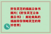 野生灵芝的插画立体书图片(《野生灵芝立体展示书》：美轮美奂的插画带你领略灵芝的奇妙世界)