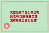 灵芝发霉了怎么养活呢能吃吗(怎样保养灵芝发霉后能否安全食用？