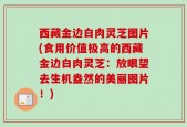 西藏金边白肉灵芝图片(食用价值极高的西藏金边白肉灵芝：放眼望去生机盎然的美丽图片！)