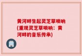 黄河畔生起灵芝草唢呐(重现灵芝草唢呐：黄河畔的音乐传承)