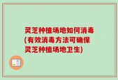 灵芝种植场地如何消毒(有效消毒方法可确保灵芝种植场地卫生)