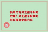 仙草之首灵芝孢子粉的效果？灵芝孢子粉真的可以提高免疫力吗