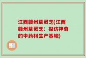 江西赣州草灵芝(江西赣州草灵芝：探访神奇的中药材生产基地)