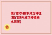 厦门野外椴木灵芝种植(厦门野外成功种植椴木灵芝)