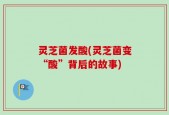 灵芝菌发酸(灵芝菌变“酸”背后的故事)