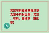 灵芝石斛夏枯草猫爪草文案中药材合集：灵芝、石斛、夏枯草、猫爪草)
