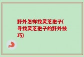 野外怎样找灵芝孢子(寻找灵芝孢子的野外技巧)