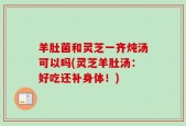 羊肚菌和灵芝一齐炖汤可以吗(灵芝羊肚汤：好吃还补身体！)