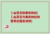 矷山灵芝和黄芪枸杞(矷山灵芝与黄芪枸杞的营养价值及功效)