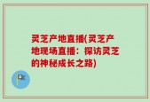 灵芝产地直播(灵芝产地现场直播：探访灵芝的神秘成长之路)