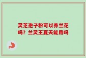 灵芝孢子粉可以养兰花吗？兰灵王夏天能用吗