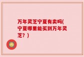 万年灵芝宁夏有卖吗(宁夏哪里能买到万年灵芝？)
