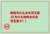 杨梅为什么会长灵芝果子(为什么杨梅会长出灵芝果子？)