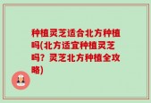 种植灵芝适合北方种植吗(北方适宜种植灵芝吗？灵芝北方种植全攻略)