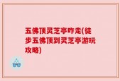五佛顶灵芝亭咋走(徒步五佛顶到灵芝亭游玩攻略)