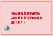 马胎草和灵芝的区别(马胎草与灵芝的差异点是什么？)
