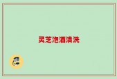 灵芝泡酒清洗