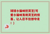 球球小猫咪挖灵芝(可爱小猫咪发现灵芝的惊喜，让人忍不住想夺走！)