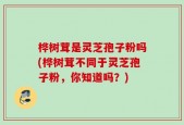 桦树茸是灵芝孢子粉吗(桦树茸不同于灵芝孢子粉，你知道吗？)