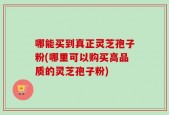 哪能买到真正灵芝孢子粉(哪里可以购买高品质的灵芝孢子粉)