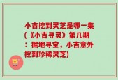 小吉挖到灵芝是哪一集(《小吉寻灵》第几期：掘地寻宝，小吉意外挖到珍稀灵芝)